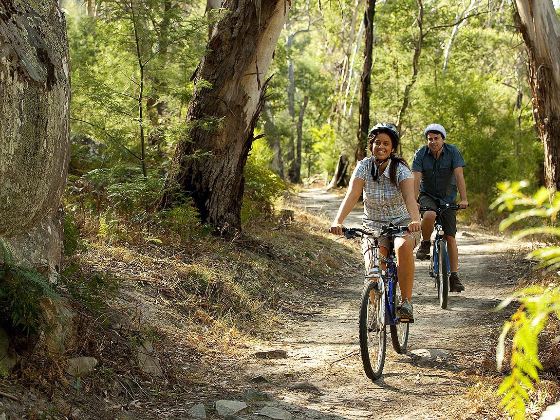 McDade Trail Bike Ride